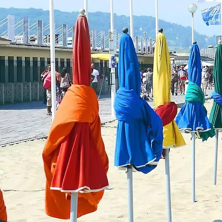 3 Pieces Avec Jardin A 5mn De La