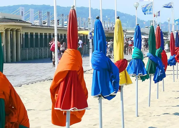 3 Pieces Avec Jardin A 5mn De La